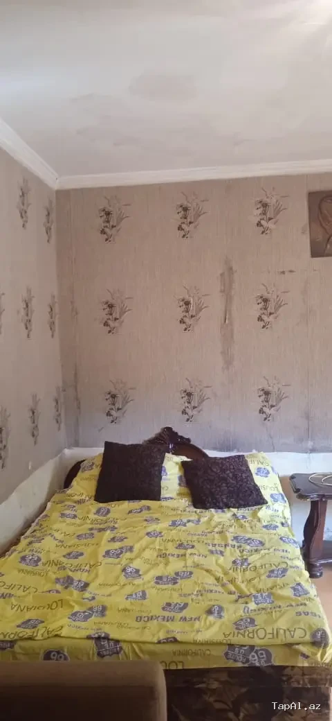 badamdarda kirayə ev verilir adelni