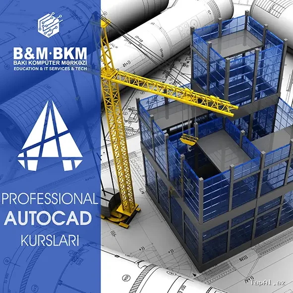 Professional AutoCad