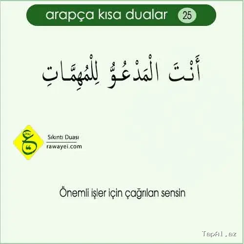 Ərəb dili peşəkar müəllim