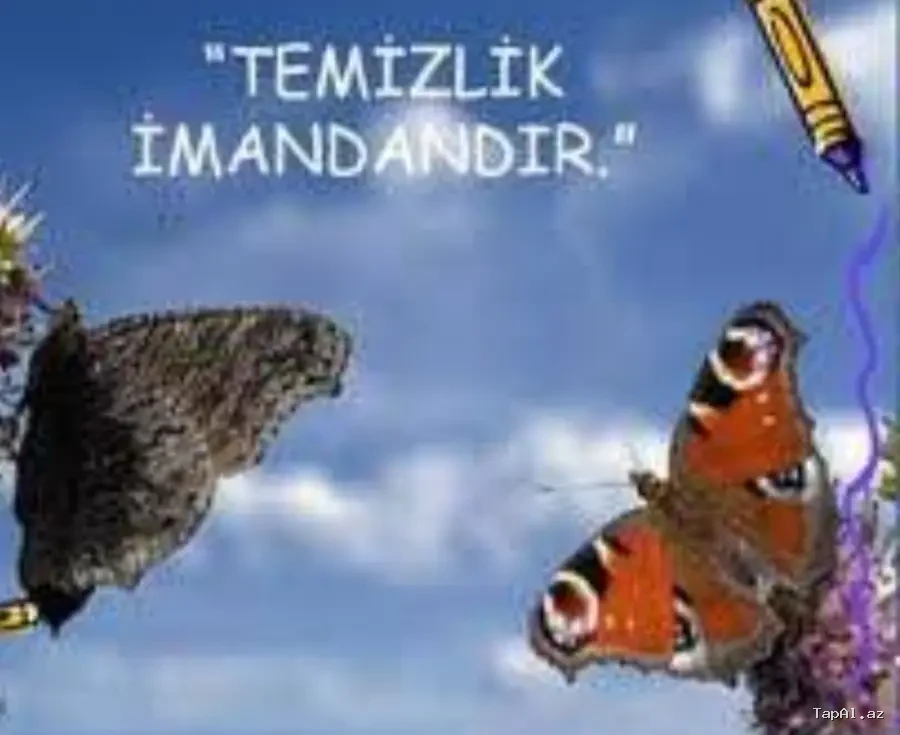 Təmizlik işləri