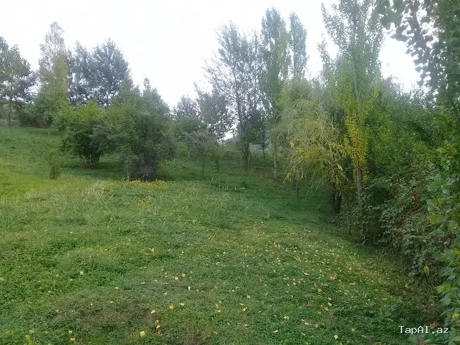 Lahıc, İsmayıllı kupçalı torpaq satılır