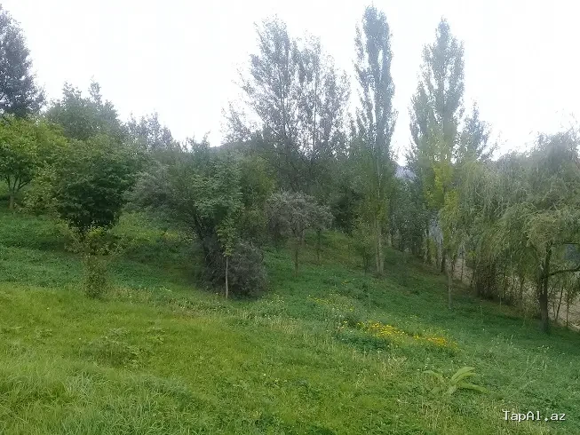 Lahıc, İsmayıllı kupçalı torpaq satılır