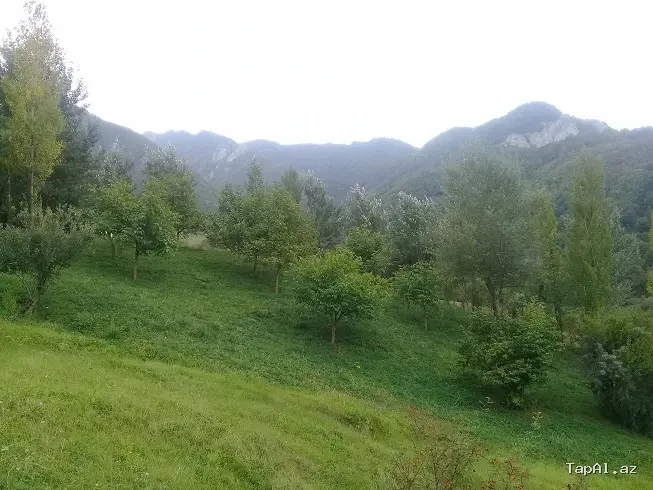 Lahıc, İsmayıllı kupçalı torpaq satılır