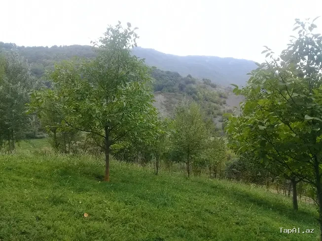 Lahıc, İsmayıllı kupçalı torpaq satılır