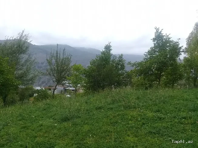 Lahıc, İsmayıllı kupçalı torpaq satılır