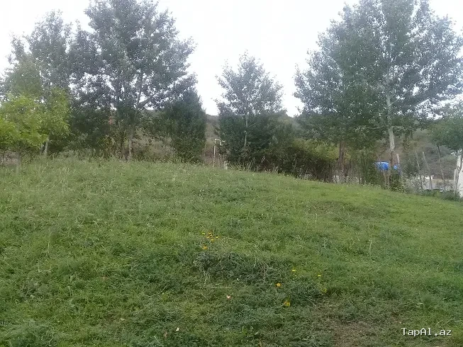 Lahıc, İsmayıllı kupçalı torpaq satılır