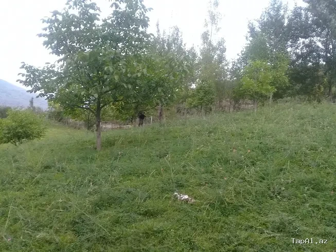 Lahıc, İsmayıllı kupçalı torpaq satılır