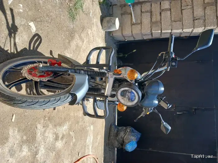Freedom mx49 2025