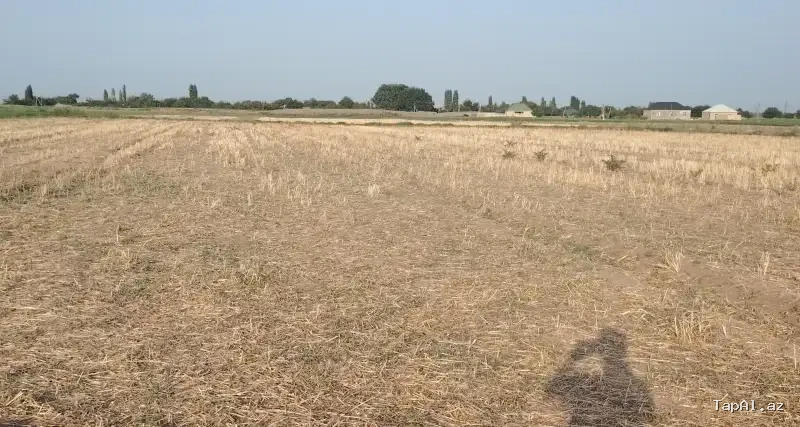 Samux Rayon Qiyaslı kəndinde 36 sot torpaq satılır