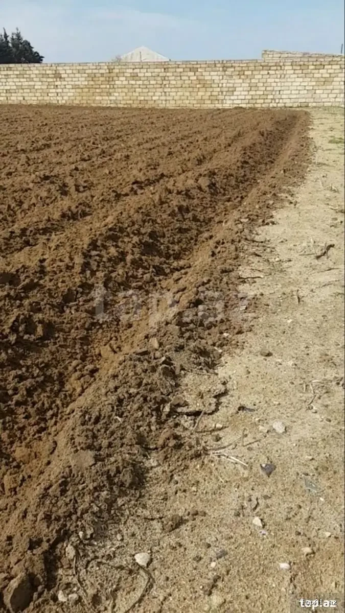 Nardaran bağlarında sea breezden 3 km aralı