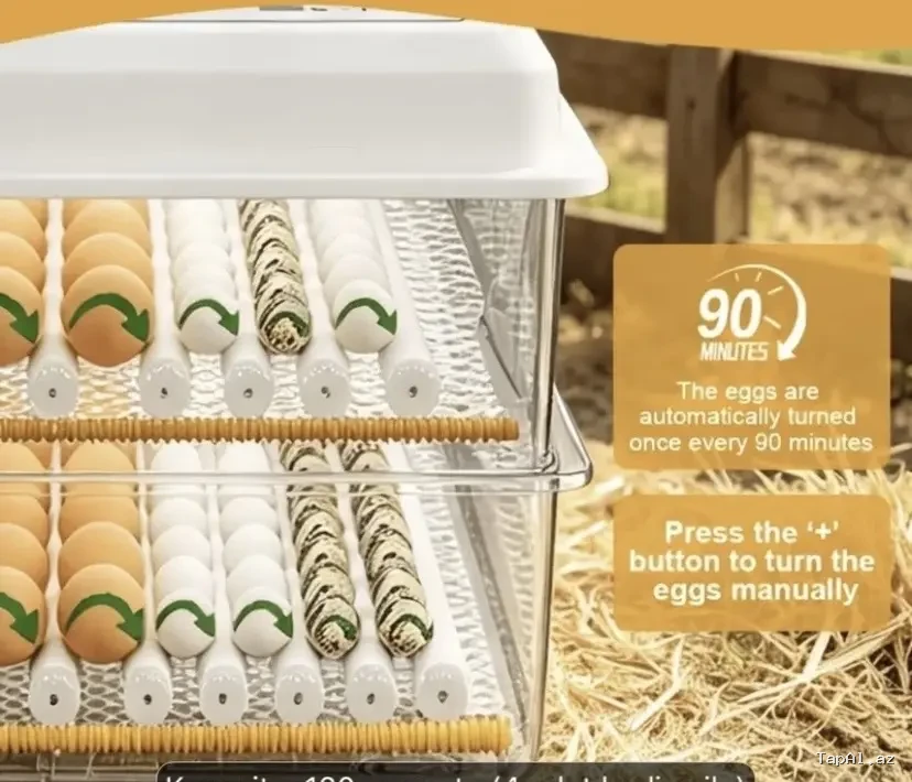 Inqibator 120 yumurta ela veziyyetde
