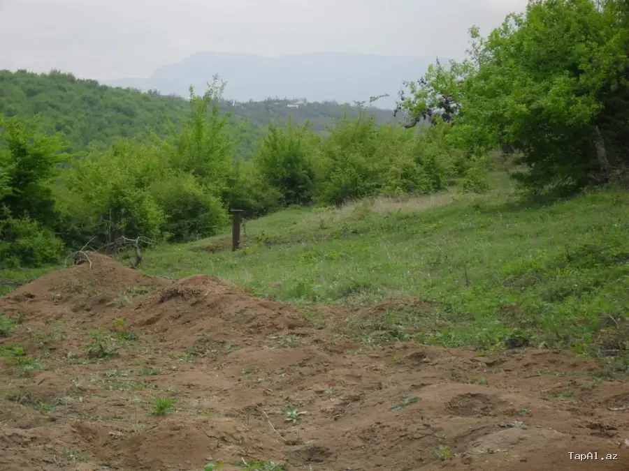 12 sot torpaq satılır, Qusar rayonu