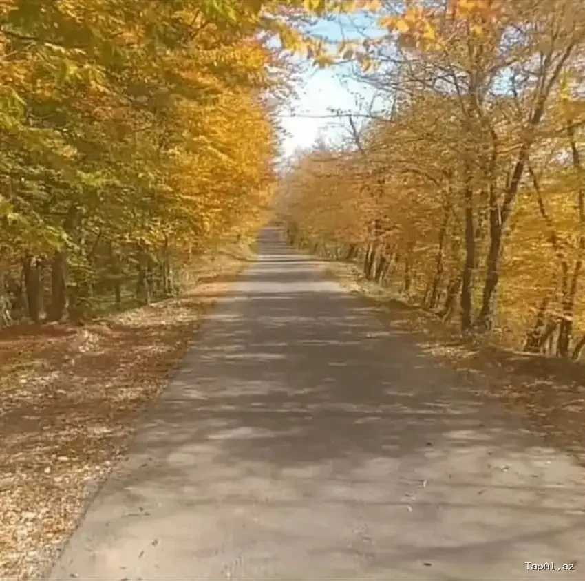 Quba Şeh. Ispik Kendi