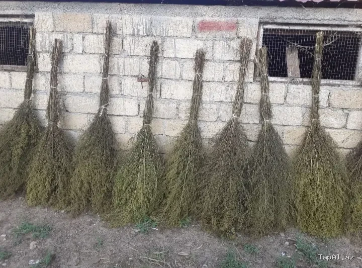 Yovşan otundan süpürgələr